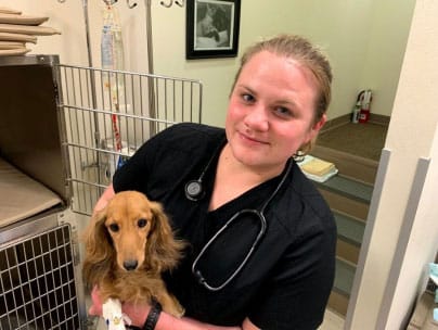 A veterinarian wearing black scrubs and a stethoscope around their neck is holding a long-haired, light brown Dachshund. They are standing in a veterinary clinic next to a metal cage with a framed picture hanging on the wall in the background.