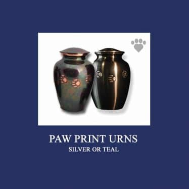 Image showing two metal urns with paw print designs. The urn on the left is teal, and the one on the right is silver. The background is blue with a small paw print and heart symbol in the top right corner. Text reads: "Paw Print Urns" and "Silver or Teal." Ideal for honoring a beloved pet's memory, as chosen by your veterinarian.