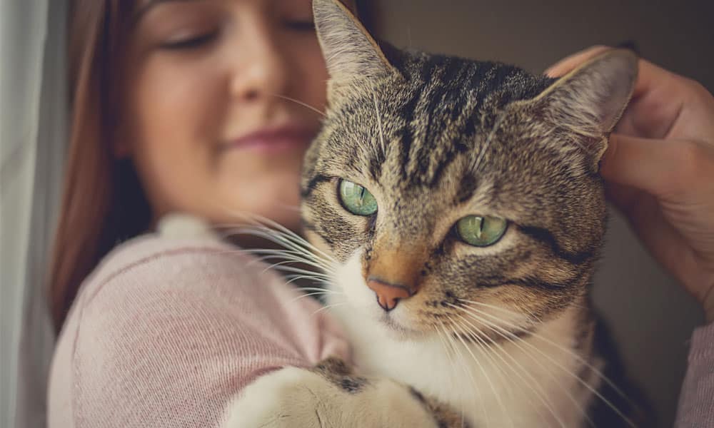 A close-up of a veterinarian holding a tabby cat with striking green eyes. The vet is softly smiling with their eyes closed, gently scratching the cat's head. The background is blurred, focusing attention on the cat and the veterinarian's face.