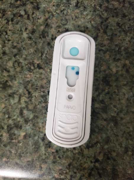 A white, rectangular SNAP test device with one blue dot in the top circle and multiple blue spots in the larger central area lies on a speckled green and brown countertop, ready for the veterinarian's analysis.