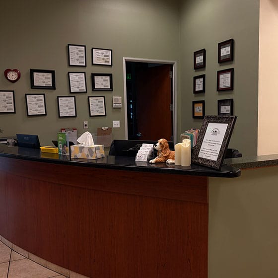 A reception desk in an office with a laptop, tissues, and decorative candles. Behind the desk are framed certificates on green walls, a clock, and a doorway leading to a hallway.