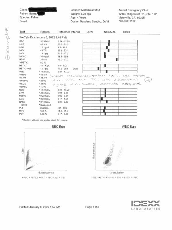 A sample veterinary blood test report for a feline. The report includes information on various blood parameters, displaying results in tabular and graphical formats, with indications of low, normal, and high ranges. The test was performed at Animal Emergency Clinic by a veterinarian.
