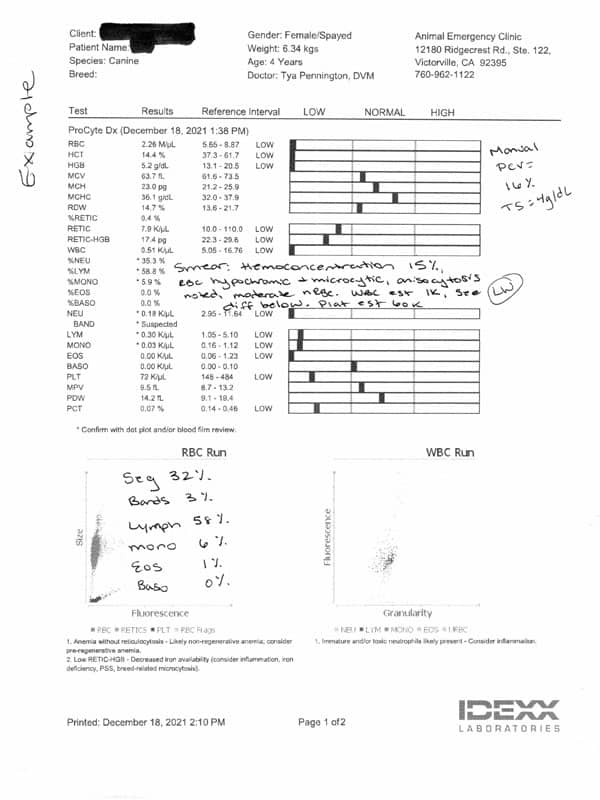 A medical report titled "Patient: Canine" shows blood test results with metrics including Seg, Band, Lymph, Mono, Eos, and Baso for RBC and WBC run. The tests reveal notable low and high values marked in tabular form with manual PCR results and written veterinarian notes.