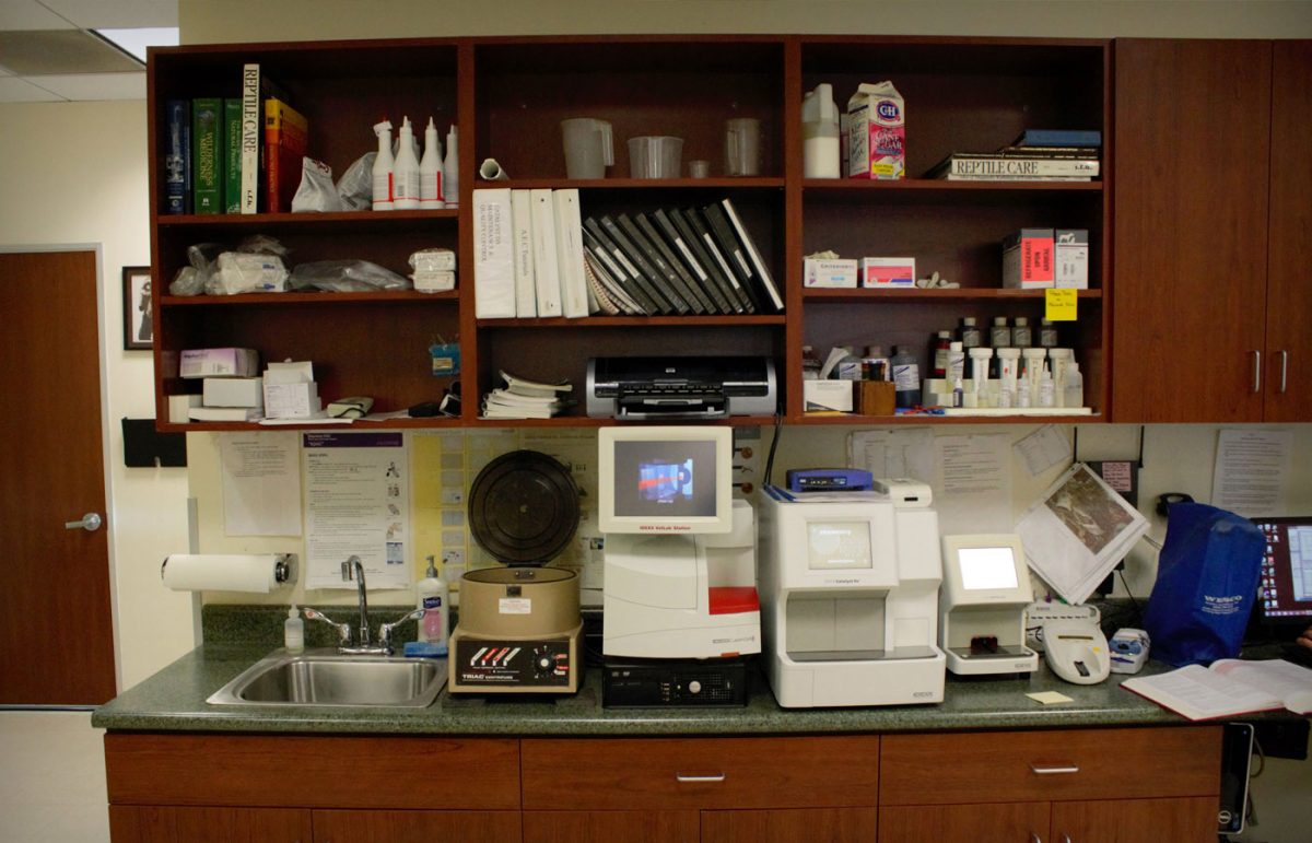 Services Emergency Veterinarian in Victorville Animal Emergency Clinic