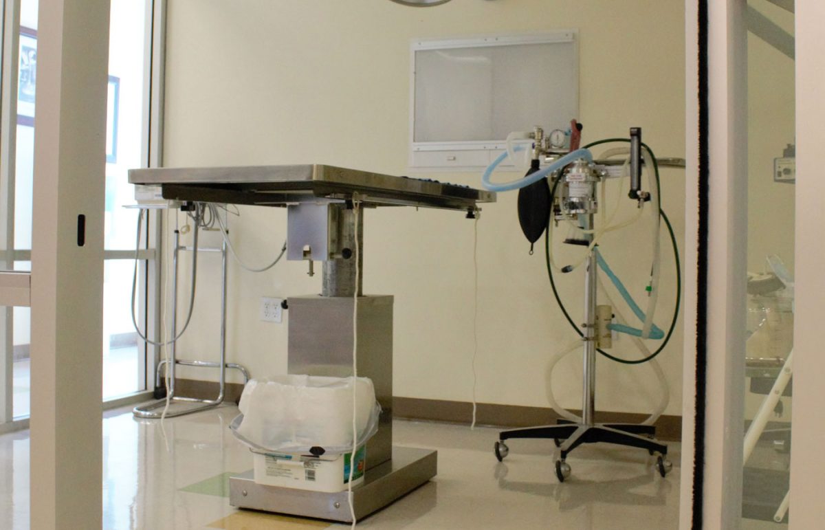 Services Emergency Veterinarian in Victorville Animal Emergency Clinic