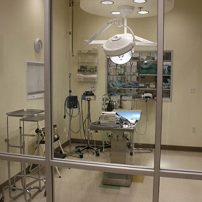 home_s4_10 A sterile veterinary operating room is visible through a glass window. The room contains a surgical table with overhead lights, medical equipment like monitors and trays, and cabinets filled with supplies. The setting is prepared for a procedure by the veterinarian.