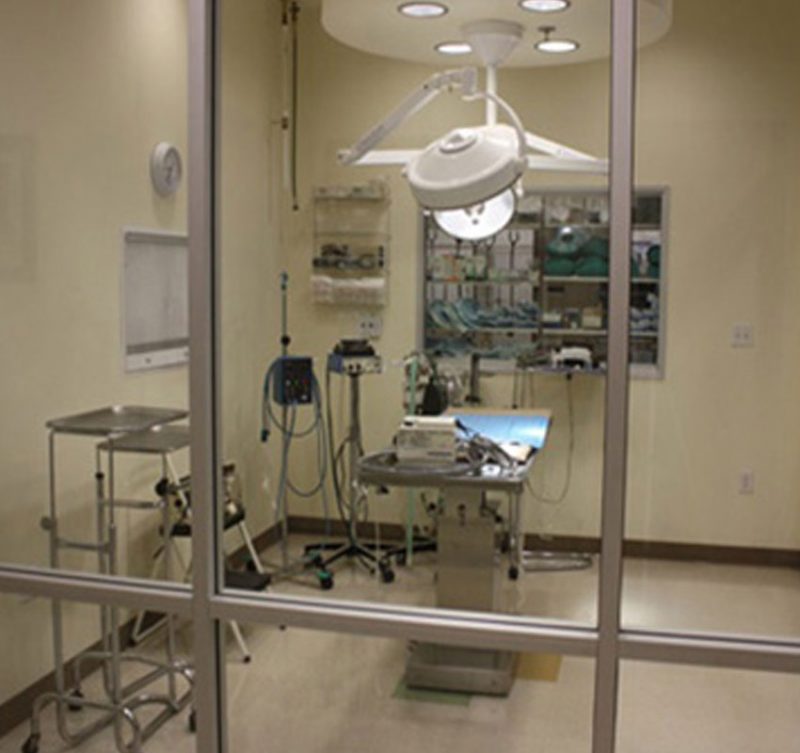 Veterinarian in Victorville Animal Emergency Clinic