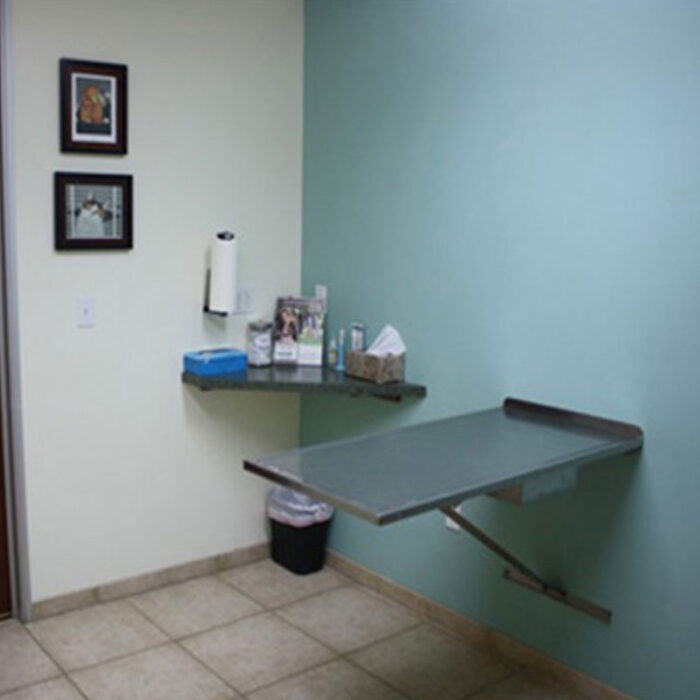 home_s4_3 A small, clean examination room at the veterinarian's office features a foldable metal table attached to a light blue wall. Shelves hold tissues, brochures, and sanitizer. A trash can is underneath. The opposite wall is a soft cream color and displays two framed pictures. The floor is tiled.