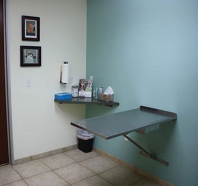 Veterinarian in Victorville Animal Emergency Clinic