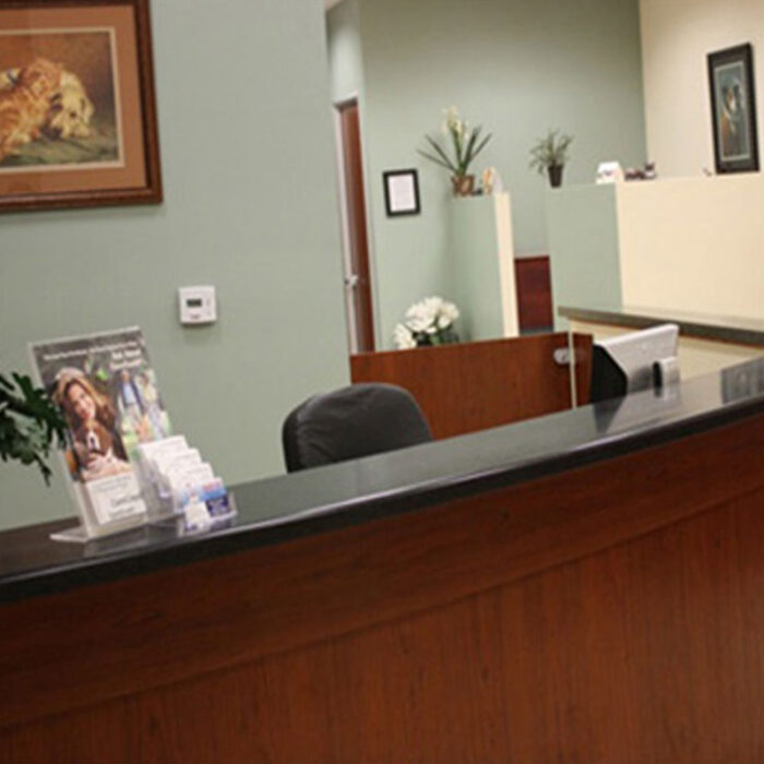 home_s4_4 A reception area with a dark wood counter and a chair behind it. There are brochures and a small card holder on the counter. The walls, adorned in green and beige, are decorated with framed pictures and plants. A door and hallway are visible in the background, creating a welcoming space for vet visits.
