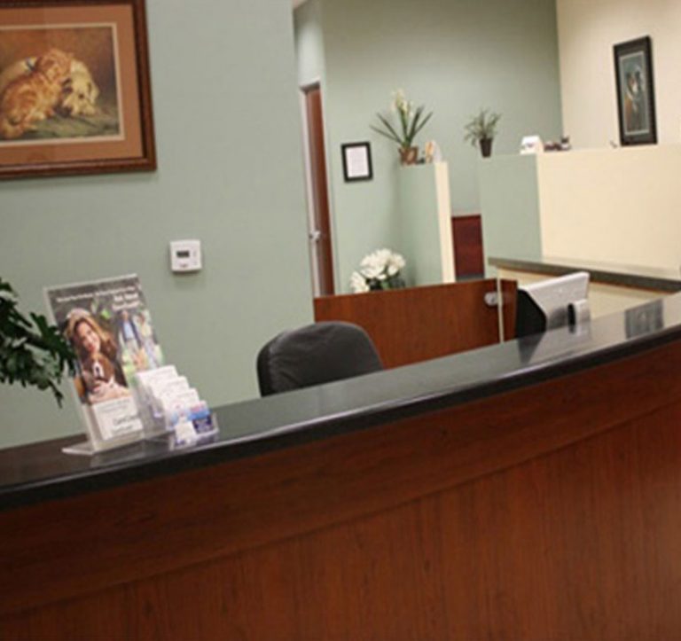 Veterinarian in Victorville Animal Emergency Clinic