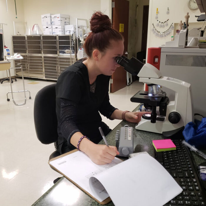 home_s4_9 A person with brown hair tied up in a bun is sitting at a desk, looking into a microscope while holding a pen over a notebook. The veterinarian is in a laboratory filled with equipment and storage boxes. A computer keyboard and sticky notes are on the desk.