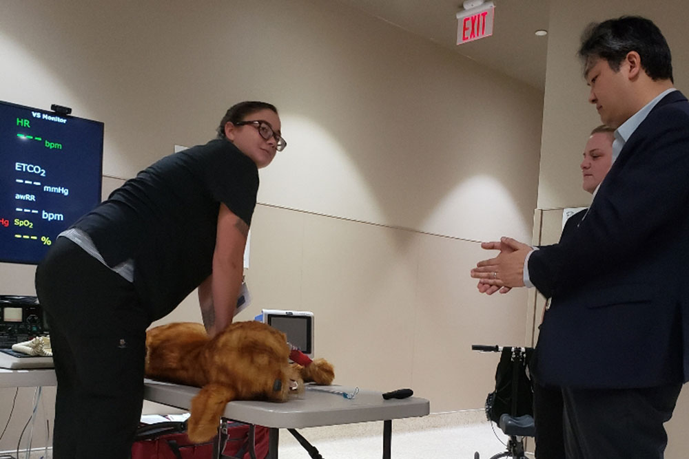 A veterinarian performs chest compressions on a dog mannequin on a table, demonstrating CPR techniques. Two individuals observe attentively. A monitor displaying vital signs is visible in the background. The room has neutral walls and a door marked with an exit sign.
