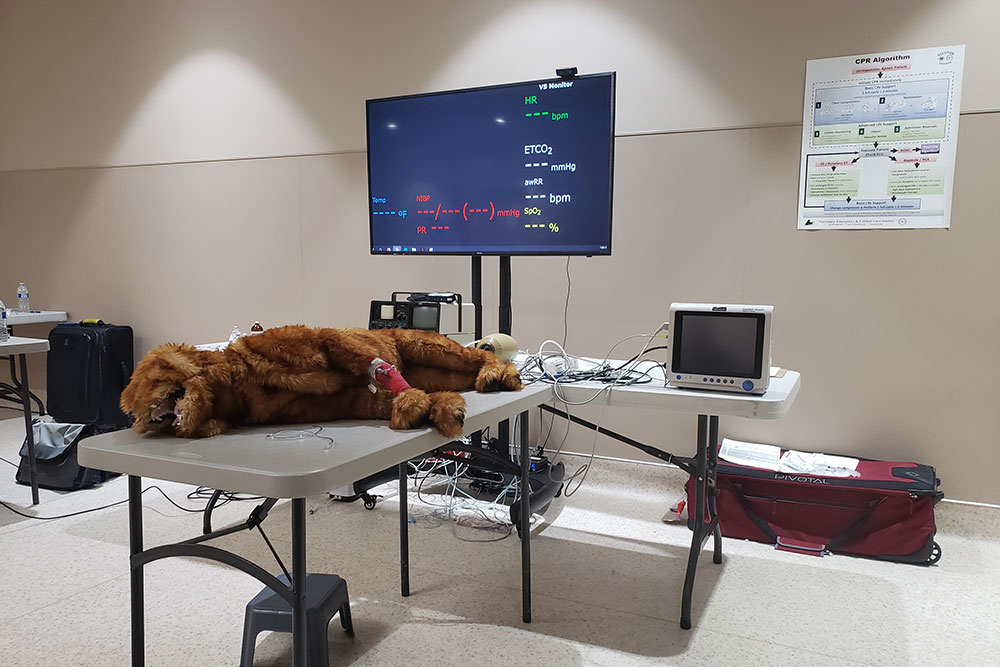 A demonstration room with a medical training setup features a lifelike dog mannequin on a table, connected to monitoring equipment. Behind the table, a screen displays various medical data. Posters with veterinary guidelines adorn the walls, making it an ideal space for aspiring vets and veterinarians to train.