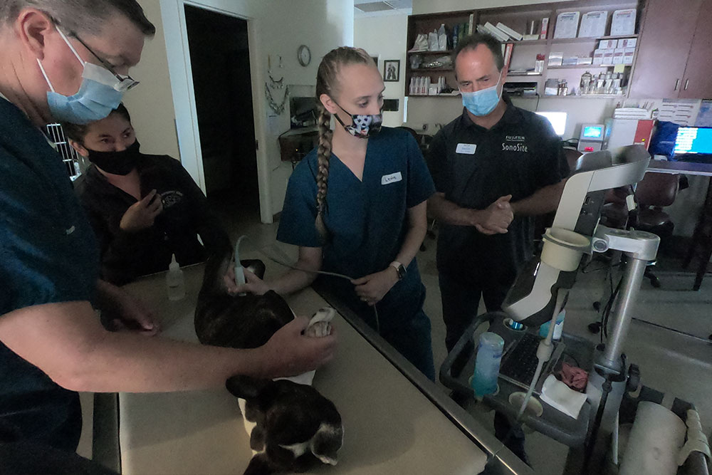 Continuing Education Emergency Vet in Victorville Animal Emergency