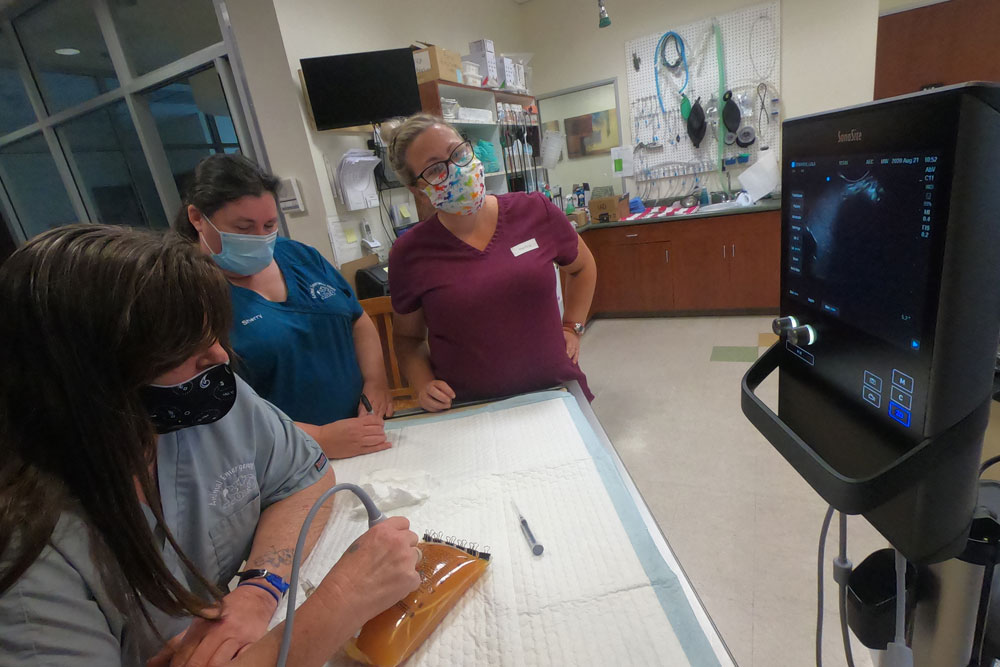 Three people wearing masks stand around a veterinary examination table, closely observing an ultrasound monitor. One veterinarian is operating the ultrasound probe on a small animal, while the other two watch the screen attentively. Medical equipment is visible in the background.
