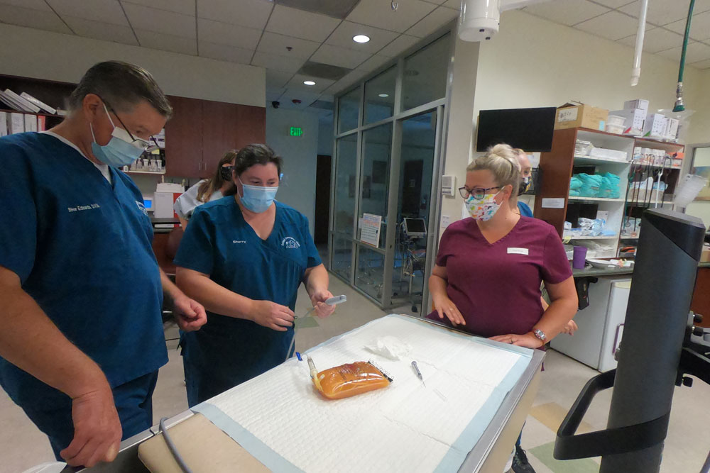 Three medical professionals wearing scrubs and masks stand around a patient bed in a clinic, discussing a procedure. The bed has a bag of fluids on top. One person, possibly a veterinarian, is wearing glasses and has their hands on their hips. Medical equipment and supplies are in the background.