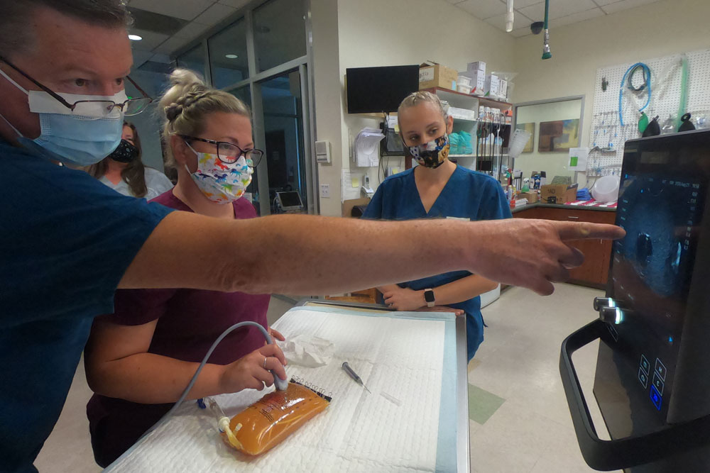 A group of healthcare professionals, wearing masks, are gathered around a medical training device. One person, pointing and explaining, appears to be instructing the others. A veterinarian is holding an ultrasound probe, practicing on a simulated training model.