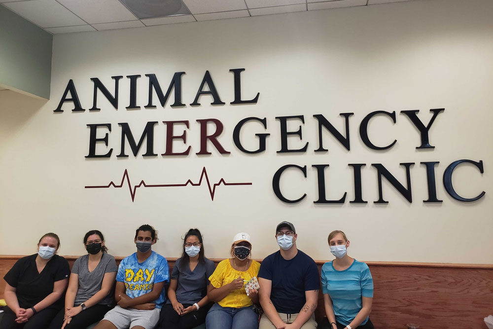 Continuing Education Emergency Vet in Victorville Animal Emergency