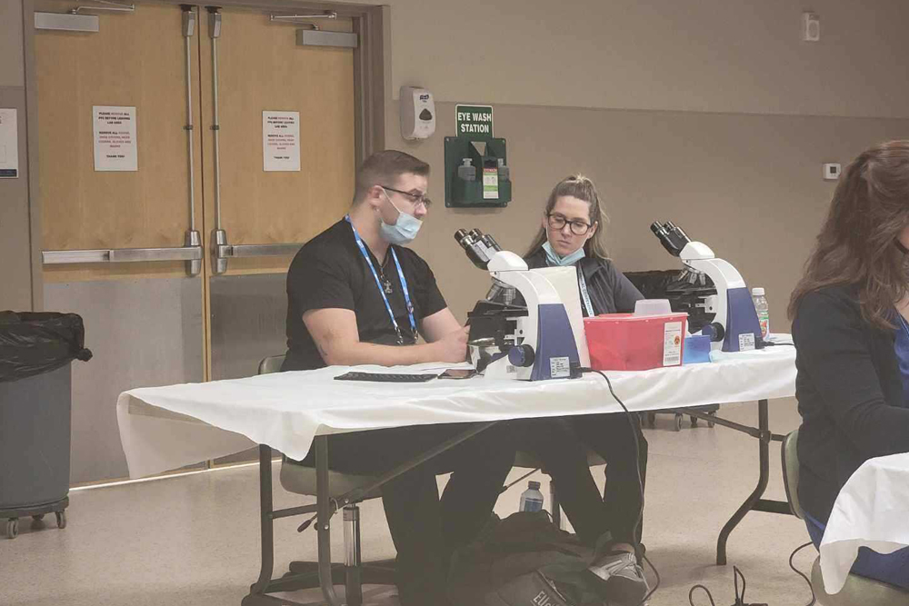 Two people wearing face masks sit at a table with white cloths, each using a microscope. They are in a room with beige walls and double doors, and there is a fire extinguisher mounted on the wall behind them. The table has various lab supplies commonly used by veterinarians.
