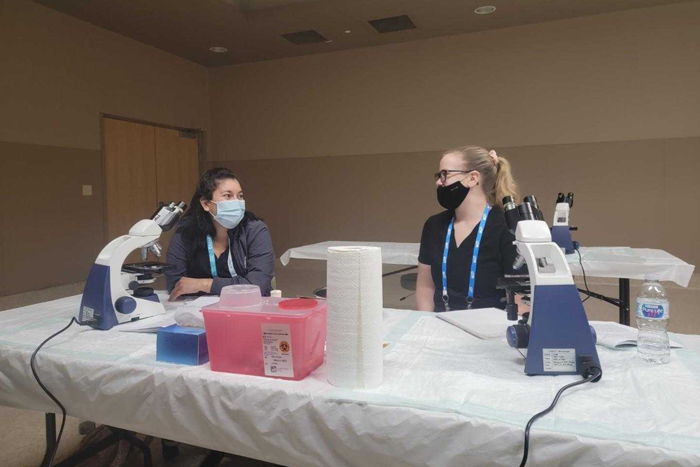 Two people wearing masks are sitting at a table with microscopes and medical supplies, including a stack of paper towels, a red biohazard container, and a water bottle. They appear to be veterinarians in a laboratory setting, engaged in conversation.