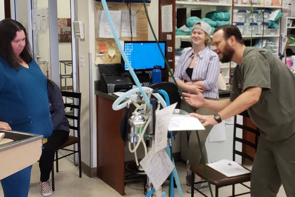 Three people are in a veterinary clinic. A veterinarian in blue scrubs stands on the left, another woman in striped clothing stands near the center, and a man in green scrubs and a hair cover is on the right, leaning towards equipment while talking animatedly.