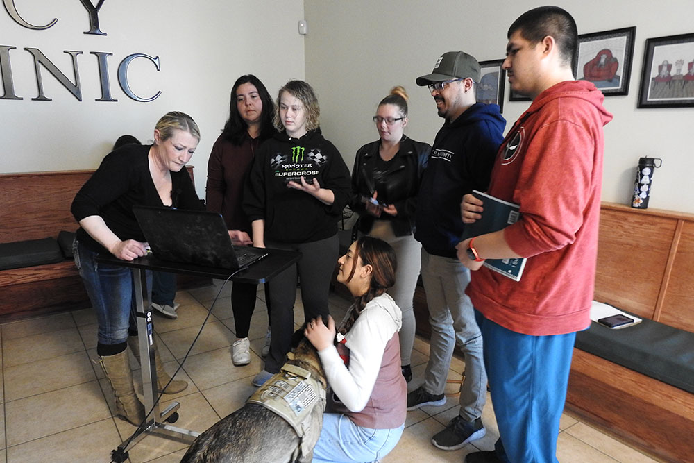 Continuing Education Emergency Vet in Victorville Animal Emergency