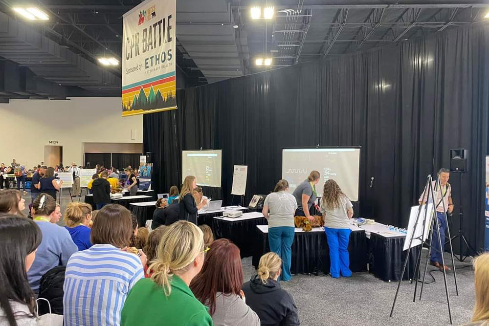 People are gathered at an indoor event, sitting and standing in front of two projection screens. A banner reading "CTF BATTLE ETHOS" hangs above. Some attendees, including a veterinarian, are engaged in discussions or taking notes, indicating a workshop or conference setting.