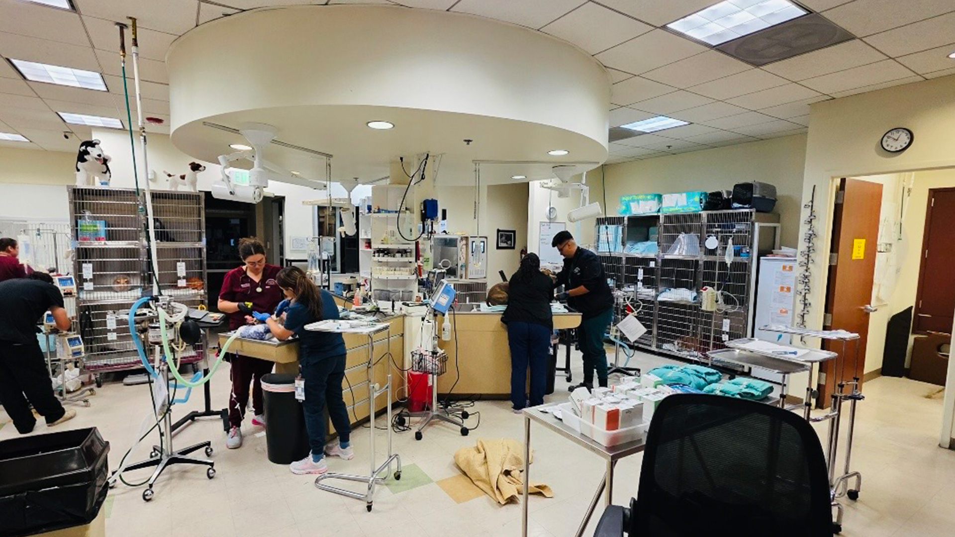 A busy veterinary clinic with staff attending to animals on exam tables, surrounded by medical equipment, supply shelves, and cages; overhead lights illuminate the room.
