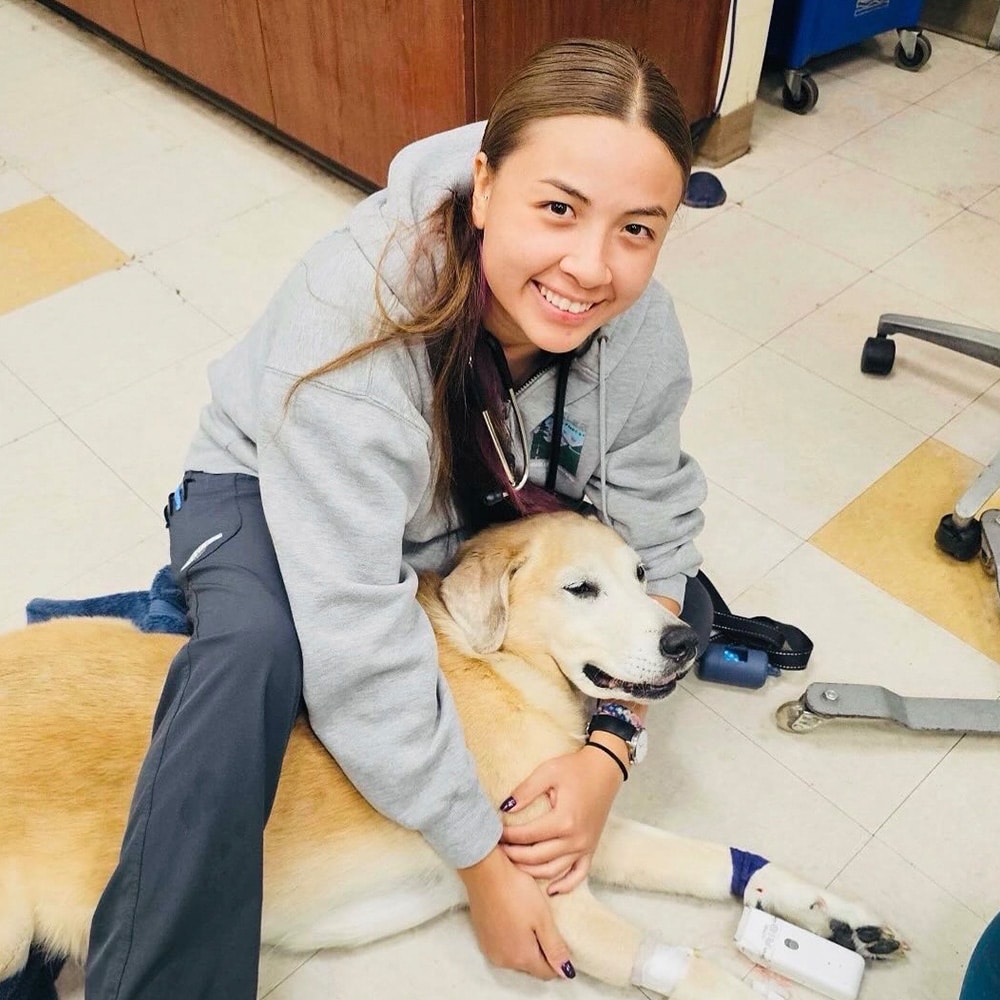 A smiling woman in a gray hoodie sits on the floor, hugging a happy yellow Labrador Retriever wearing a medical bandage on its leg, inside a clinic or veterinary office.