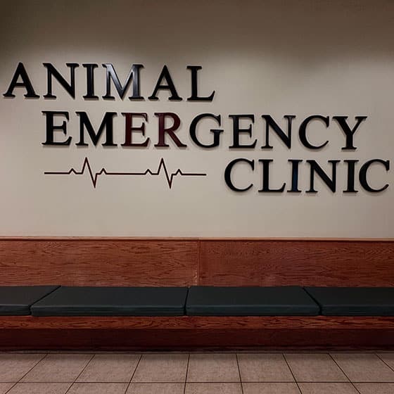 Wall sign reading "Animal Emergency Clinic" with a heartbeat line graphic, above a wooden bench with dark cushions in a waiting area.