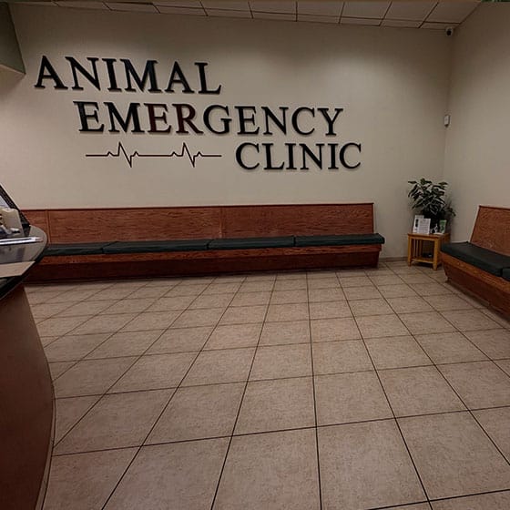 A waiting area in an animal emergency clinic with empty wooden benches, tiled floor, a small table with magazines, a potted plant, and a large wall sign reading "Animal Emergency Clinic" with heartbeat graphics.