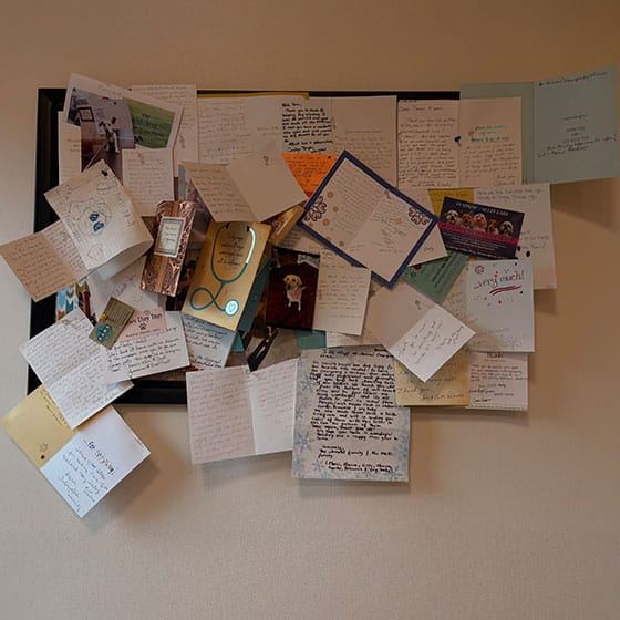 A bulletin board covered with various handwritten cards, letters, and notes, some overlapping, pinned and taped in different directions on a beige wall.