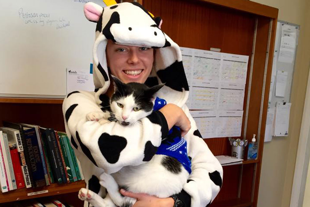 A person wearing a cow-themed onesie, including a hood with horns and ears, smiles and holds a black and white cat dressed in a blue outfit. They stand in what appears to be a veterinarian's office, complete with a bookshelf filled with books and a whiteboard on the wall.