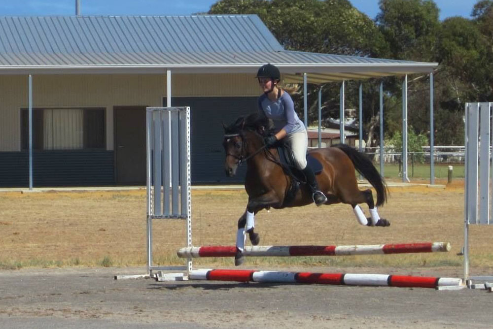 A veterinarian, wearing a helmet and riding gear, expertly guides a brown horse mid-jump over a low, red and white striped hurdle. The setting is an outdoor equestrian facility with a corrugated metal roof building in the background.