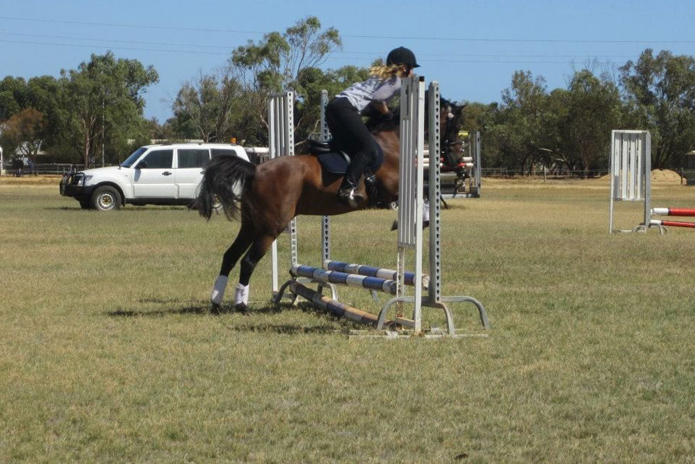 A person riding a horse is captured mid-jump over a hurdle in an open grassy field. The rider, possibly a veterinarian judging by the precision and care, is wearing a black helmet. In the background, there is a white SUV parked with trees and a wire fence visible under the clear blue sky.