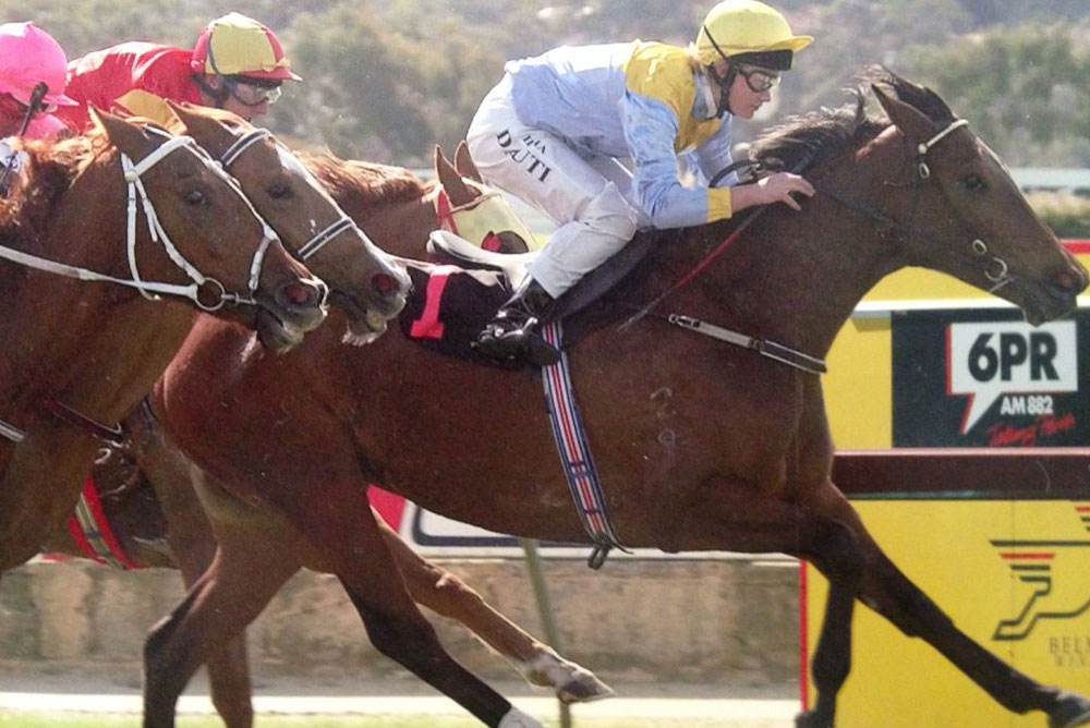 Jockeys on three racehorses, wearing colorful silks, race neck-and-neck towards the finish line. One jockey in light blue and yellow leans forward, urging the horse on. The horses' muscles are strained, and their hooves are barely touching the ground, a scene any veterinarian would find fascinating.