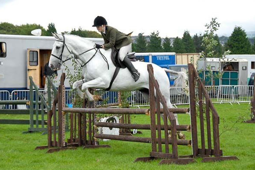 A veterinarian dressed in equestrian attire and a helmet is riding a white horse, jumping over a wooden obstacle during a show-jumping competition. The background features horse trailers, fencing, and trees.